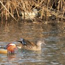 광교호수로 이미지