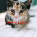 동양축산병원 이미지