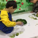 지민농장 이미지