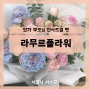 라무르플라워 | [플라워샵] 양가 부모님 인사드릴 때 - 양재꽃시장 라무르플라워 꽃다발/꽃바구니