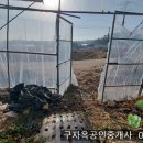 선원면-7 Daum카페
