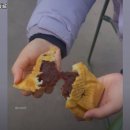 붕쥬르