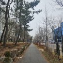 이마트24 안산고잔빌리지점 | 안산고잔푸르지오5차 아파트 단지 분석 &amp; 임장 후기