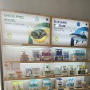 호주면세점(할인점) 이미지