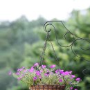 맑고 향기롭게 이미지