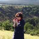 송수현 카카오 검색결과