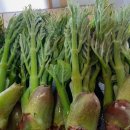 순만농장 이미지