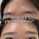 프리지 | 대구 | 범어동눈썹 눈썹컨설팅 “어프리지” 눈썹정리 후기