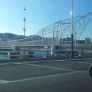 강구대게축구장 이미지