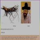 풍기인삼영농조합법인