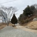 계룡산동학사민박 | 공주독채펜션 공주 솔몰아펜션민박 평일 대가족 여행 추천