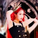 애플포토 이미지