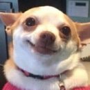 CM | 12월 20일. CM 연말 모임 후기