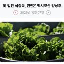 358_261007_foodborne illness in lettuce 이미지