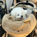 다담 | 주엽역반찬가게 집밥 같은 느낌에 가성비까지 좋은 다담찬방 후기