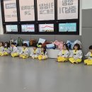 바른선태권도 이미지