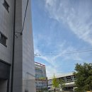 엔젤인어항 이미지