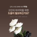 현대에스지