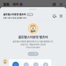 골든햄스터분양 햄츠비 이미지