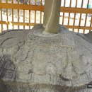 상주 사서 전식 신도비 | 상주...사서 전식 신도비
