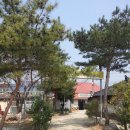 옥천함흥냉면 네이버블로그