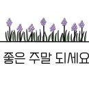 아마빌리스 이미지