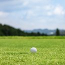 (주)볼카노골프앤리조트 이미지