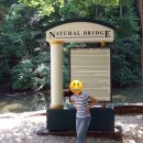 생성-natural 이미지