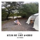 개를 품은 남자 | 괴산오토캠핑장 🏕️ 달천강을 품은 조용한 숲속캠핑장 🌳 청천수목원캠핑장 ( 나혼자산다 약초 캠핑장 )