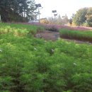 신흥정수장 이미지