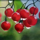 탑실로35번길 이미지