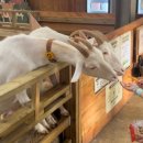 고창농원 이미지