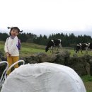 하이얀목장 이미지