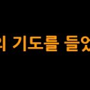 레고스토리