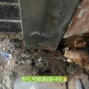 엘림건강원 - 용인시 기흥구 금화로108번길 36 | 엘림건강원