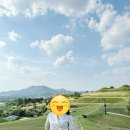 함안대치리 공룡발자국화석 | 함안 여행 말이산 고분군 함안 박물관 포토존 여기 있어요.