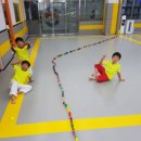 용인대 국가대표 태권도 이미지