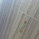 제주애 펜션 | 제주 서귀포 에어비앤비 리얼후기, 감성도 벌레도 넘쳤던 곳