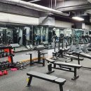 서울스포렉스 이미지