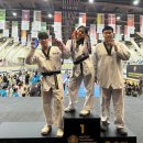 챔피언 태권도 이미지