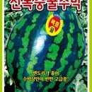 복중농장 네이버블로그