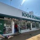 1004네 | 1004플라워 광주 서구 운천역 꽃집 방문 후기