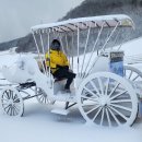 고향목장 이미지