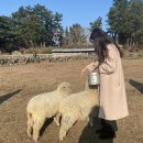 진선목장 네이버블로그