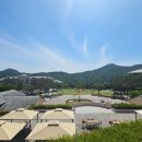 팬더호텔 | 강원 원주 여행 준비 중이라면 이 숙소들 꼭 확인해보세요