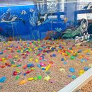 카페명륜 | 부산 실내 놀거리 프레리 키즈카페 명륜점 후기