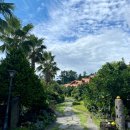 동화나라 애견 이미지