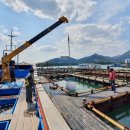 경상남도 수산안전기술원 이미지