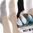 노빵
