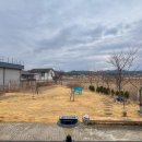 베일리하우스애견펜션 이미지